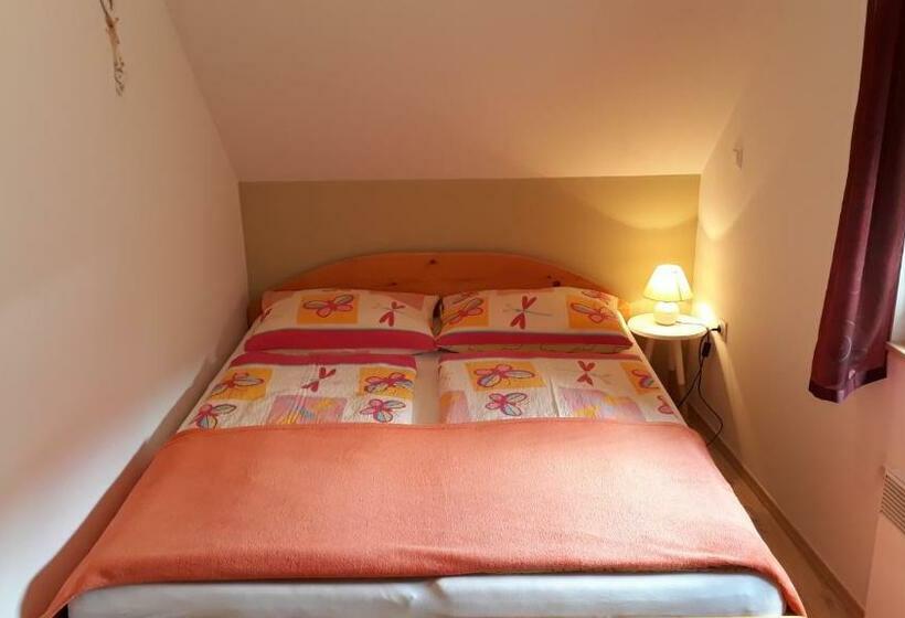 اتاق استاندارد با سرویس بهداشتی مشترک, Apartments & Hostel Bohinj