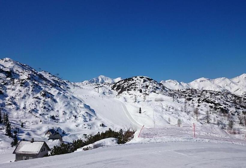 اتاق استاندارد با سرویس بهداشتی مشترک, Apartments & Hostel Bohinj
