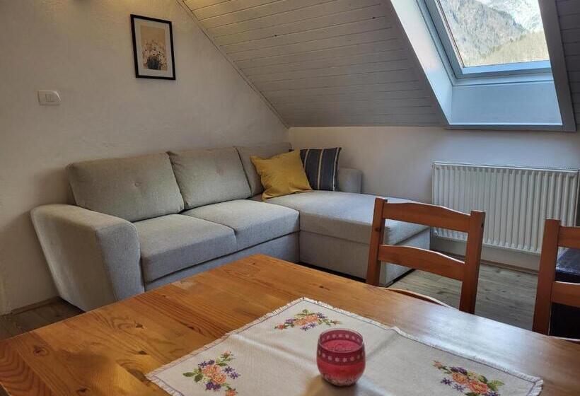 آپارتمان 1 خوابه با چشم‌انداز, Apartments & Hostel Bohinj