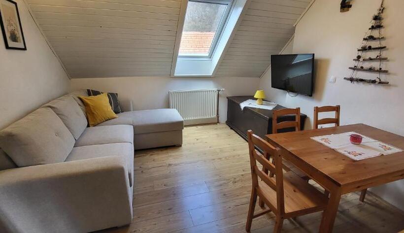 آپارتمان 1 خوابه با چشم‌انداز, Apartments & Hostel Bohinj