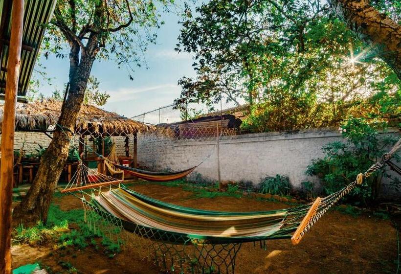 Cama em Quarto Compartilhado, Colonial House Inn