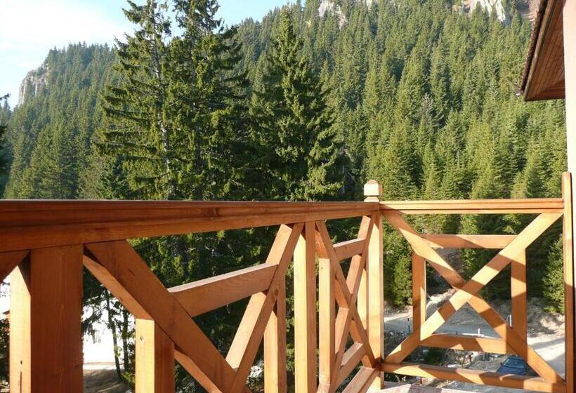آپارتمان 1 خوابه با بالکن, Aparthotel Pine Hills Pamporovo