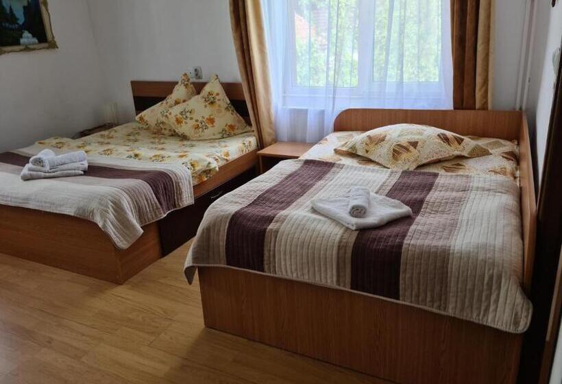 غرفة قياسية ثلاثية, Pensiunea Constanta