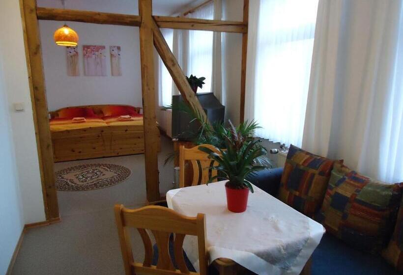 Студия Стандарт, Pension Thaler Hof