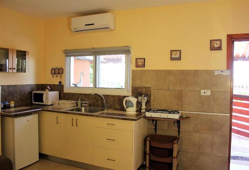 패밀리 스튜디오, Dead Sea Sun Guest House