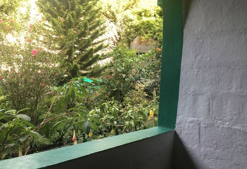 Номер Стандарт, La Petite Auberge   Hostel