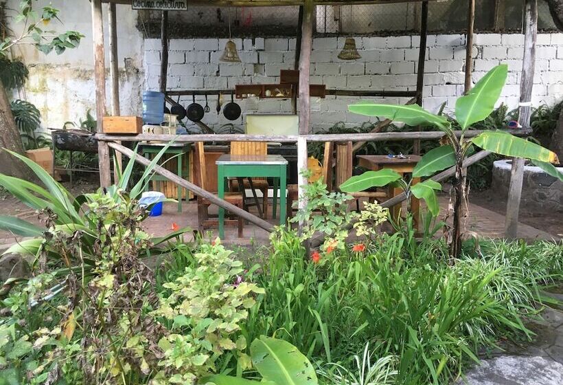 Четырехместный Номер Стандарт, La Petite Auberge   Hostel
