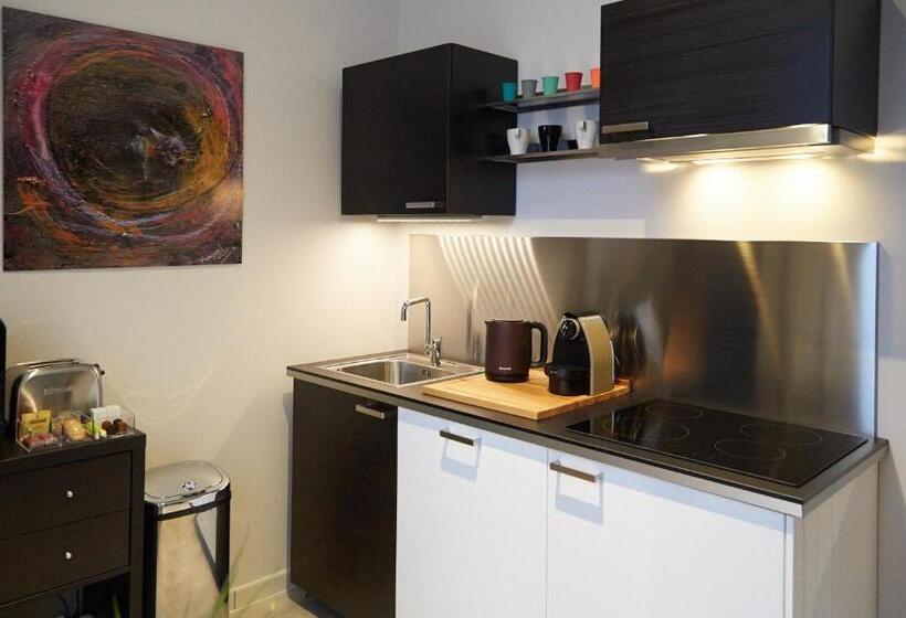 １ベッドルームのデラックスアパートメント, La Résidence Arles Centre