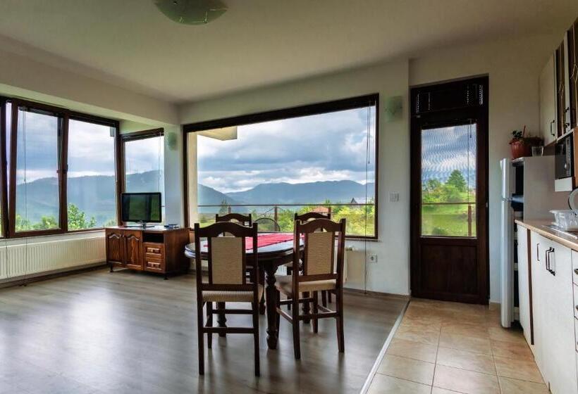 Апартаменты 1 Спальня, Guest House Panorama