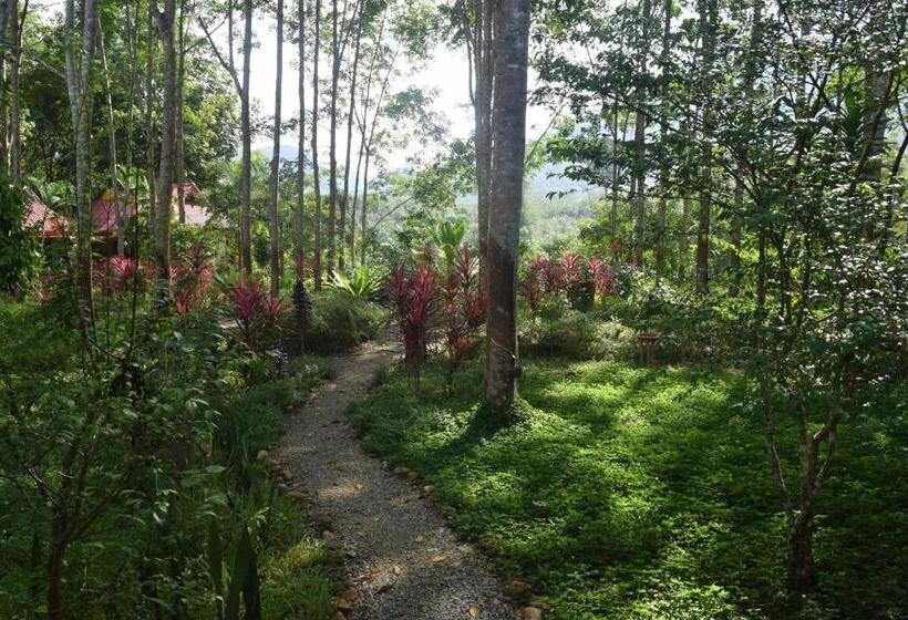 Номер Deluxe Вид на Сад, Manora Garden