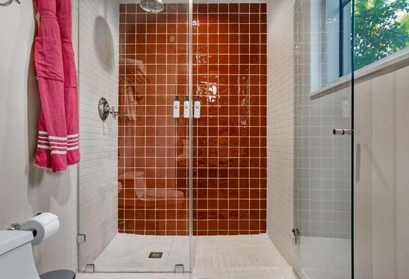 סטודיו דלוקס, Trouvail Miami Beach