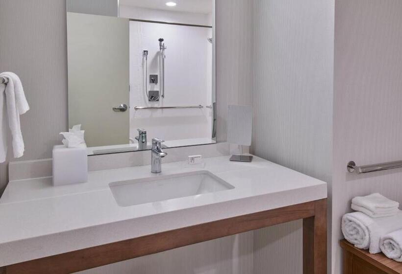 Стандартный Номер Кровать Кинг, Courtyard By Marriott Petoskey At Victories Square