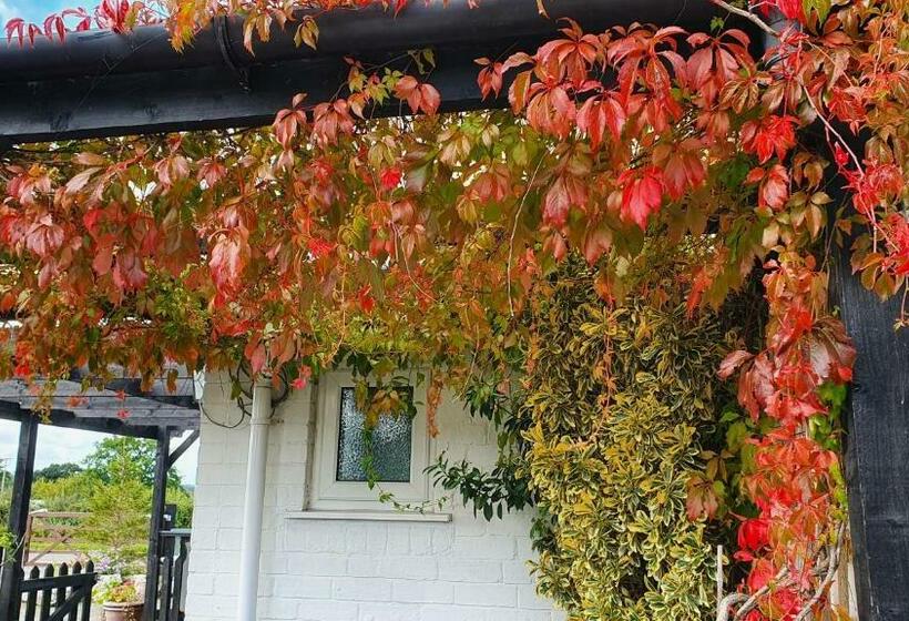 Люкс Кровать Кинг, Tafarn Y Waen   Guesthouse