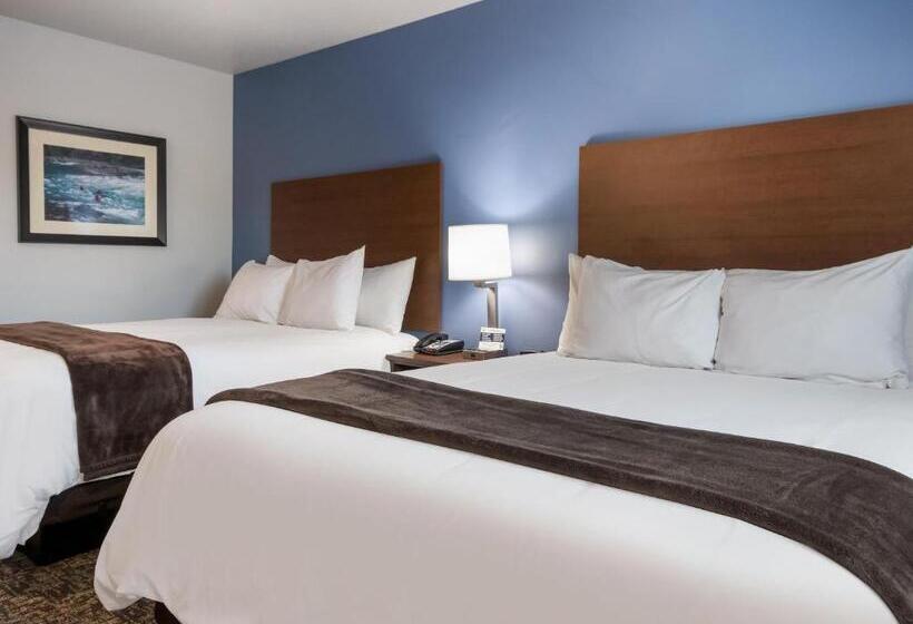 标准间, My Place Hotel Kalispell, Mt