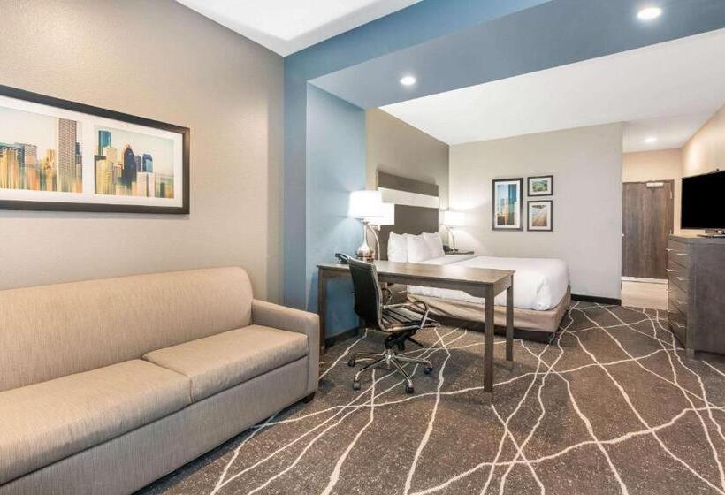 キングサイズベッドのデラックスルーム, La Quinta Inn And Suites By Wyndham Houston Spring South