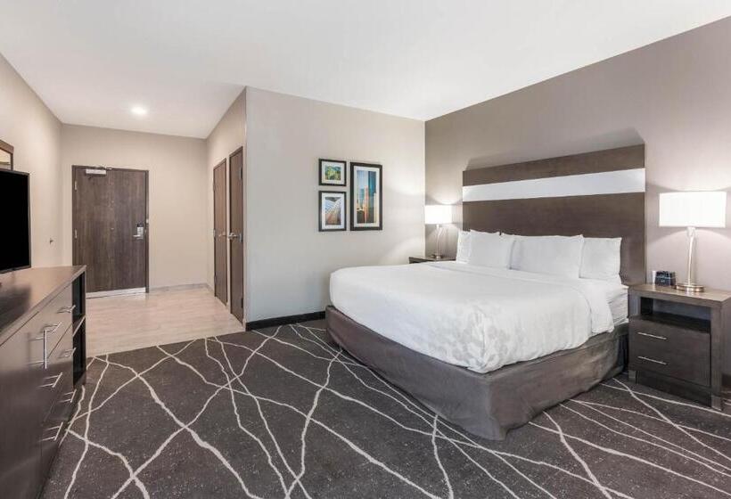 身障者適用キングサイズベッドルーム, La Quinta Inn And Suites By Wyndham Houston Spring South
