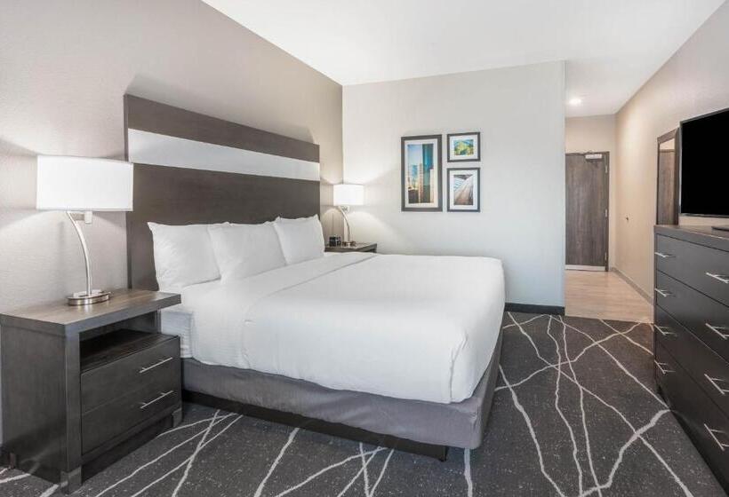 Стандартный Номер Кровать Кинг, La Quinta Inn And Suites By Wyndham Houston Spring South