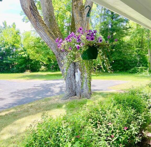 Номер Стандарт, Elk Rapids Lakeshore Inn