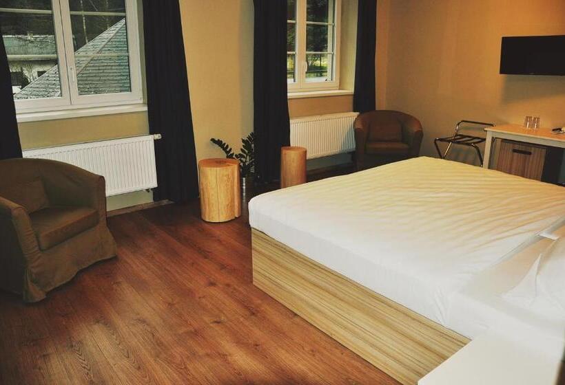 Номер Стандарт Адаптированный для Инвалидов, Wellness Hotel Bozeňov