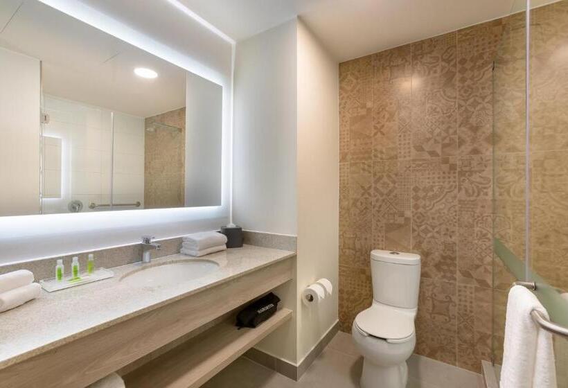 스탠다드 룸 킹사이즈 침대, Holiday Inn   Piura, An Ihg