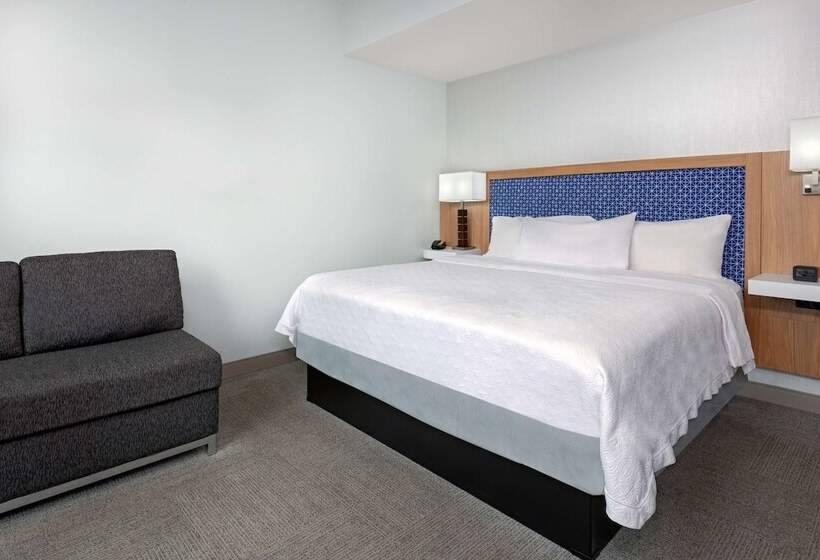 Номер Стандарт Двуспальная Кровать Вид на Город, Hampton Inn Tampa Downtown Channel District