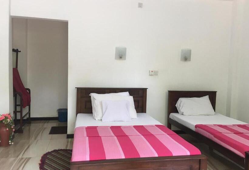 חדר אקונומי, Anthony Guesthouse