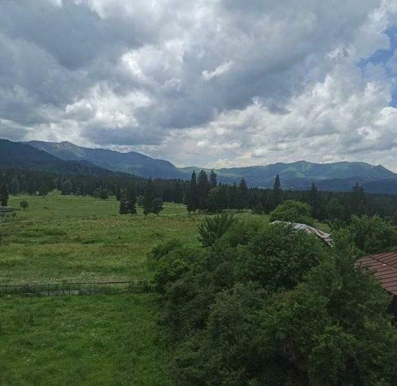 اتاق استاندارد با چشم‌انداز کوهستان, Royal Bakuriani