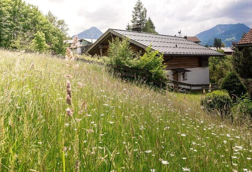 آپارتمان 1 خوابه با چشم‌انداز, Alpenhaus Oberstdorf