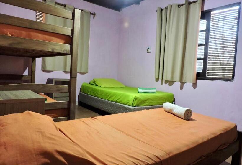غرفة كلاسيكية رباعية, Hostel Lazy Gaucho
