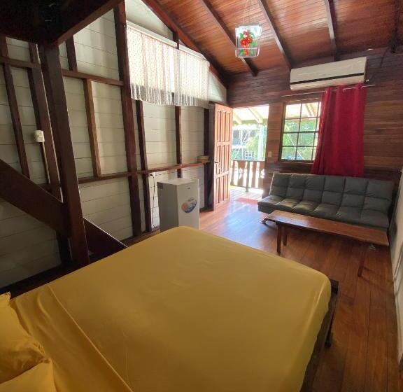 Номер Стандарт, Amimodobeachrooms
