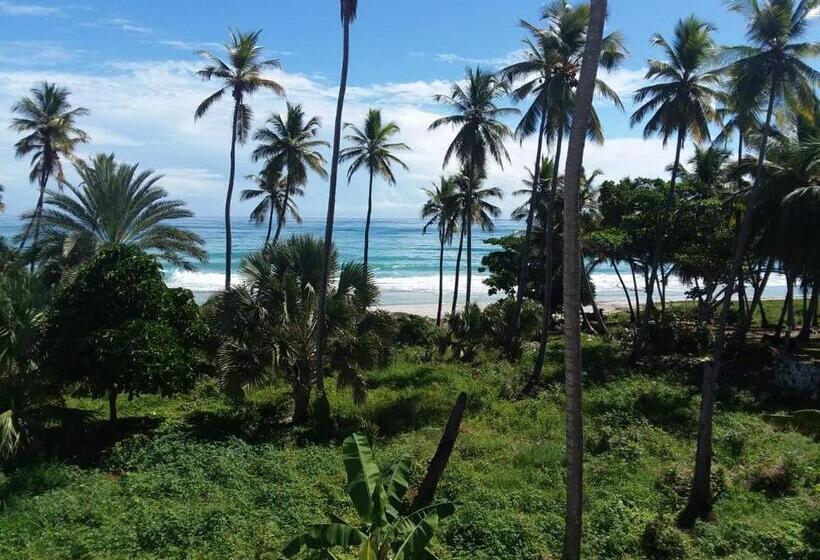 آپارتمان 1 خوابه با چشم‌انداز دریا, Oasi Encantada   Beach Resort