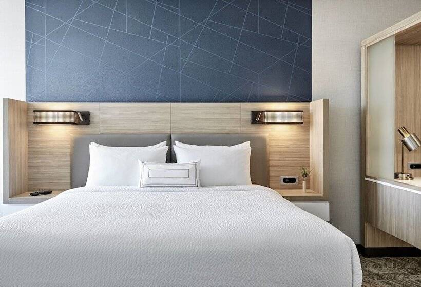 Люкс, Springhill Suites By Marriott Montgomery Prattville/millbrook