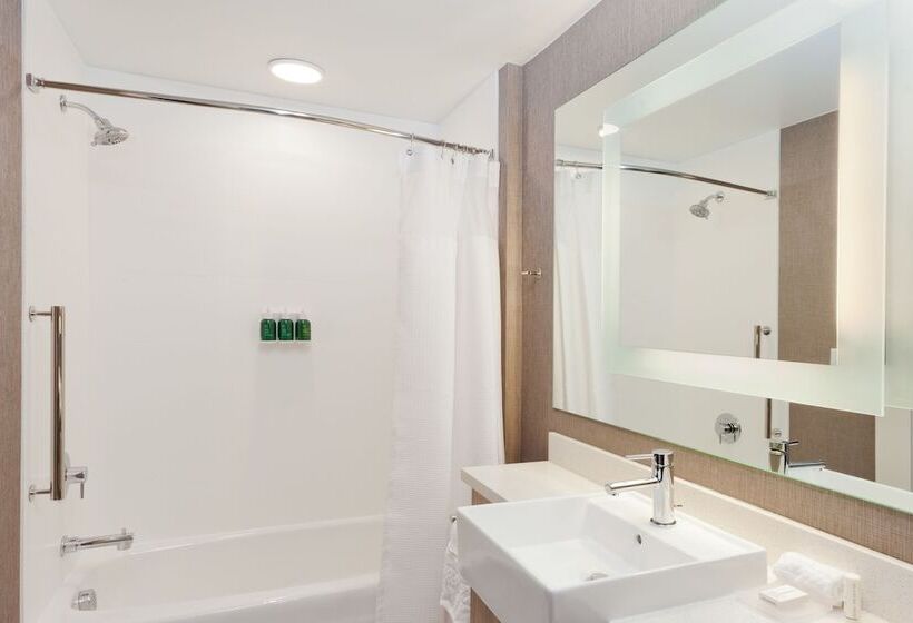 Люкс, Springhill Suites By Marriott Montgomery Prattville/millbrook
