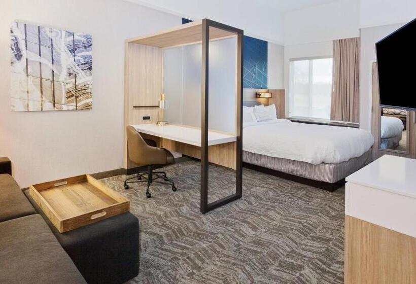Люкс Кровать Кинг, Springhill Suites By Marriott Montgomery Prattville/millbrook
