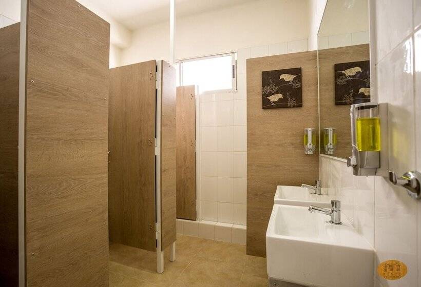 سرير فى غرفة مشتركه, Bento Hostel   Adults Only