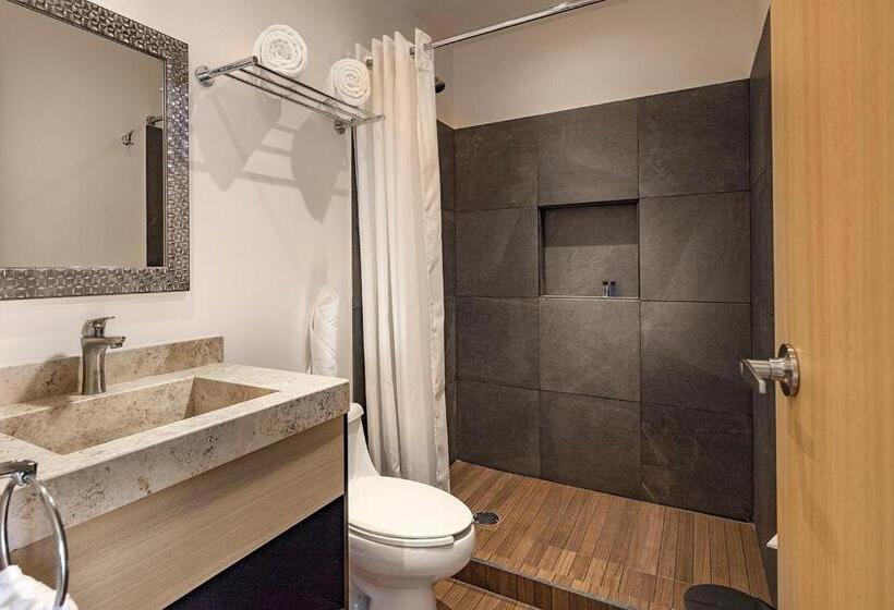 غرفة قياسية, Room Hotel & Suites