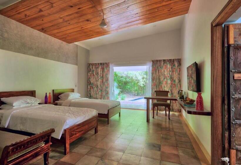 Номер Стандарт, Red Earth Tadoba