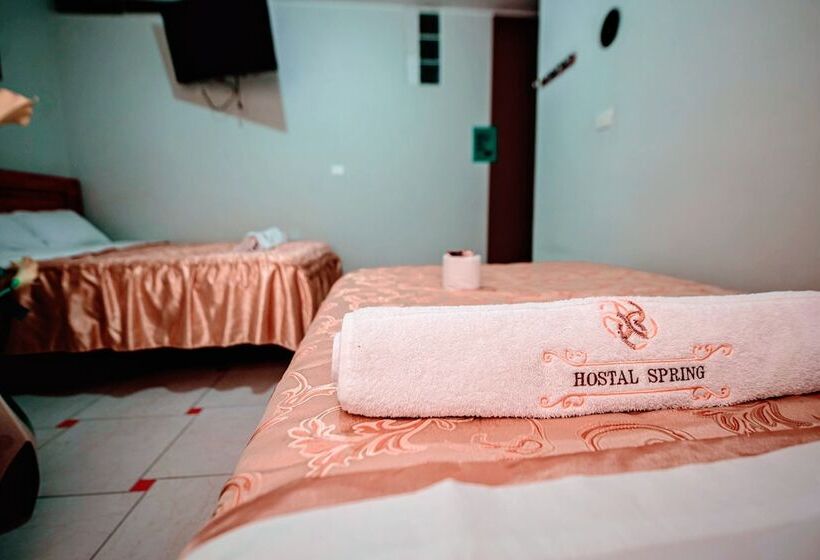 스탠다드 룸, Hostal Spring