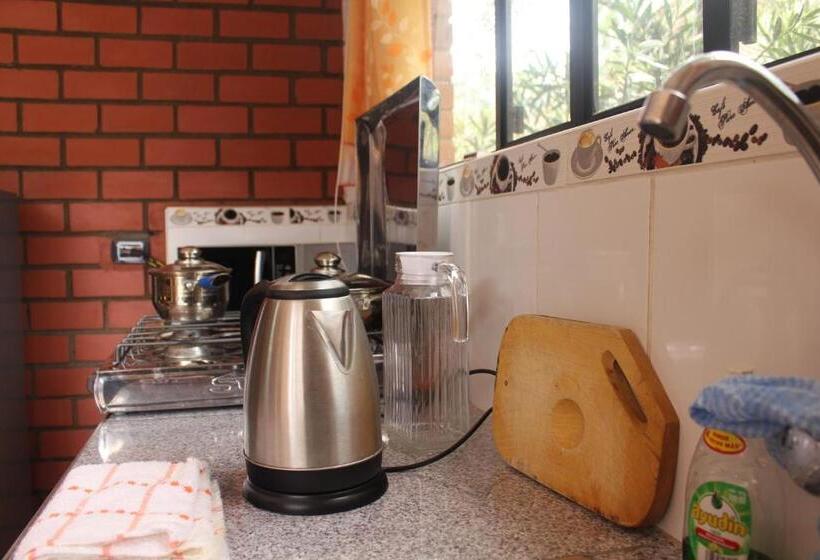 Апартаменты 1 Спальня с Террасой, Casa Hospedajelos Capulies