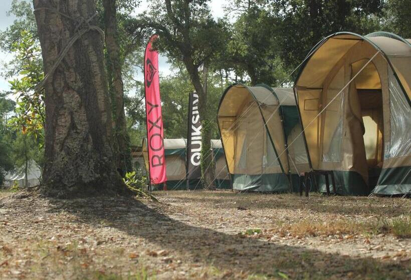 共用房间的床, Progress Outdoor Surf Hostel