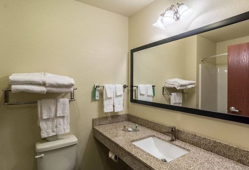 Студия Стандарт, Cobblestone Hotel & Suites   Hutchinson