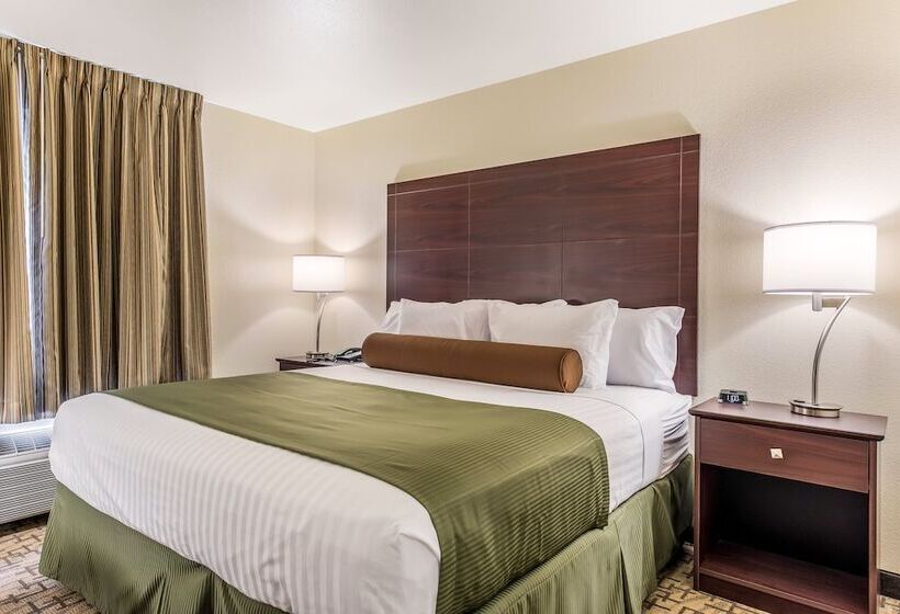 标准工作室, Cobblestone Hotel & Suites   Hutchinson
