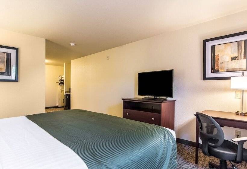 Студия Стандарт, Cobblestone Hotel & Suites   Hutchinson