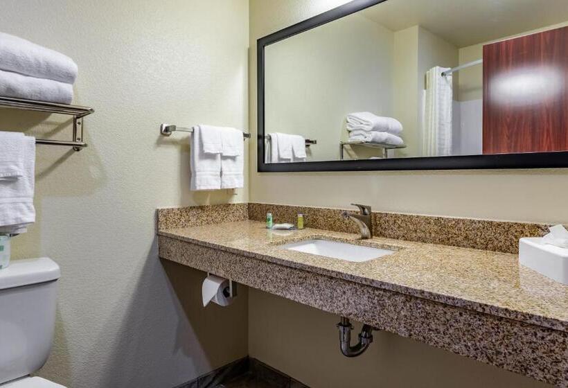 Номер Стандарт, Cobblestone Hotel & Suites   Hutchinson