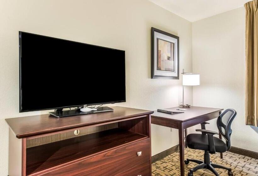 标准工作室, Cobblestone Hotel & Suites   Hutchinson