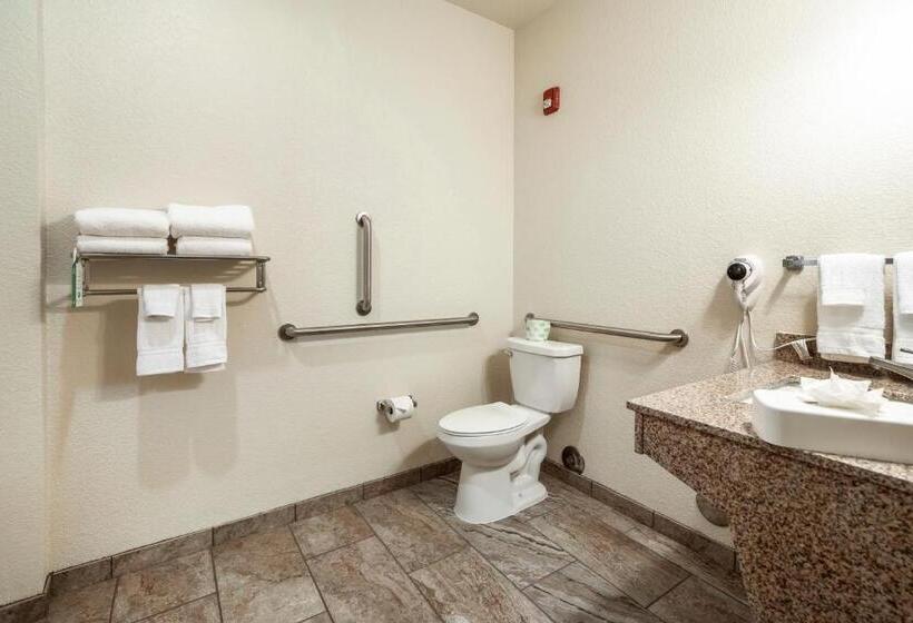 适合残疾人士使用的带超级大床的标准间, Cobblestone Hotel & Suites   Hutchinson