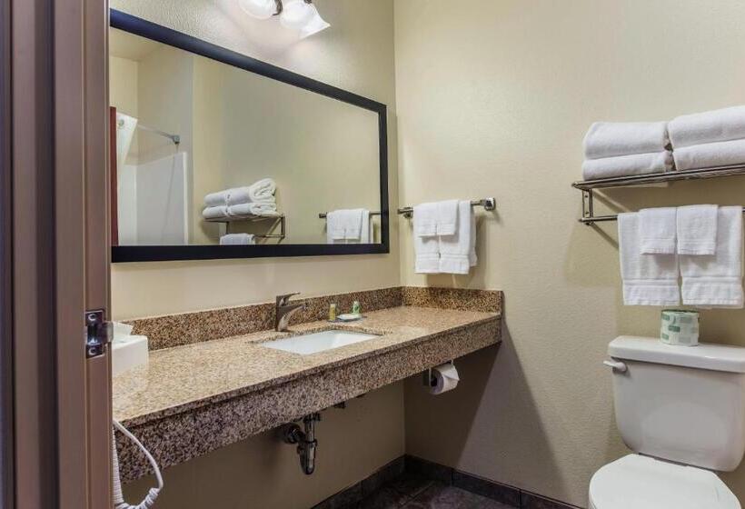 Студио Стандарт Кровать Кинг, Cobblestone Hotel & Suites   Hutchinson