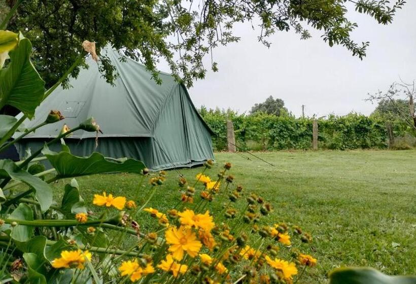 Standard Tent, Quinta Da Teimosa
