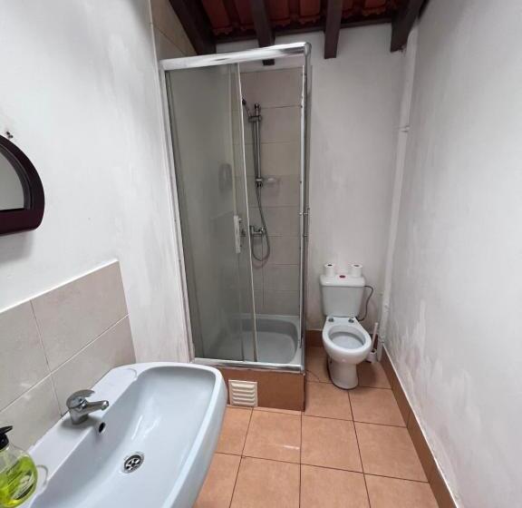 اتاق استاندارد با سرویس بهداشتی مشترک, Fernando Guest House