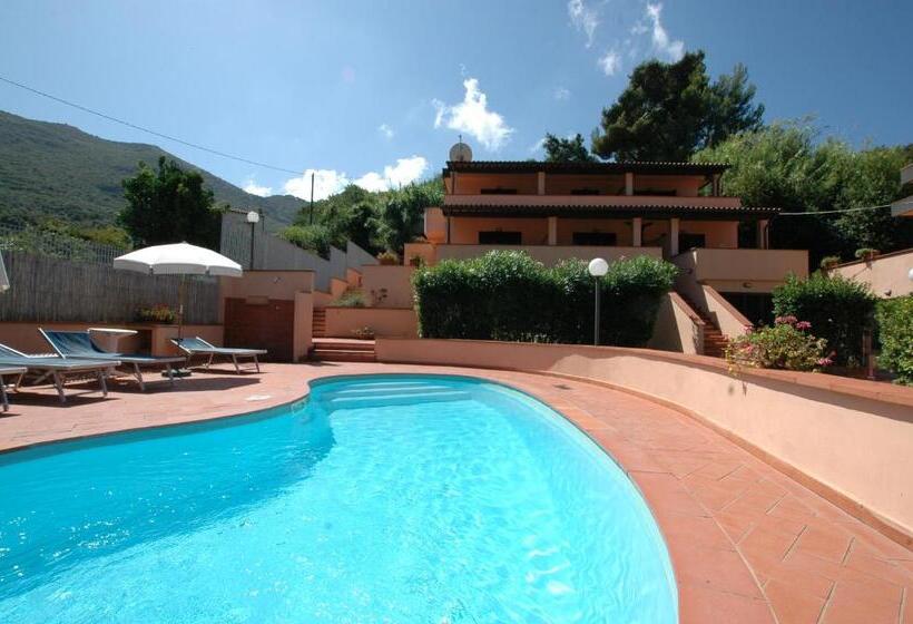 استودیوی استاندارد, Residence Arcipelago